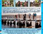miniatura palm-beach-por-chechelin cover divx