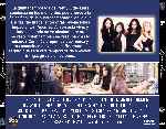 miniatura pequenas-mentirosas-temporada-05-por-chechelin cover divx