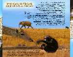 miniatura pequenos-hermanos-por-jonymas cover divx