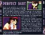 miniatura perfect-blue-por-el-verderol cover divx