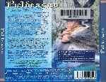 miniatura piel-de-asno-por-jonymas cover divx