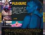 miniatura pleasure-por-chechelin cover divx