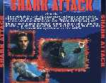 miniatura shark-attack-por-el-verderol cover divx