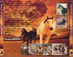 miniatura shetan-el-caballo-del-desierto-v2-por-jrc cover divx