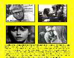 miniatura soy-curiosa-amarillo-por-tiroloco cover divx