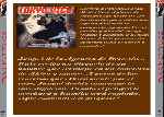miniatura tokio-vice-por-cholga cover divx