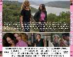 miniatura un-amor-de-verano-2015-por-chechelin cover divx