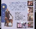 miniatura very-important-perros-por-el-verderol cover divx
