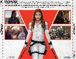 miniatura viuda-negra-v2-por-tonype cover divx