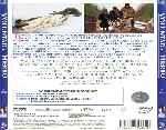 miniatura voluntad-de-hierro-por-mastercustom cover divx