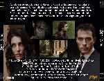 miniatura zen-miniserie-por-chechelin cover divx