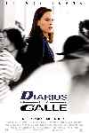 Diarios de la calle