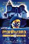 mini cartel Marihuana, el sótano maldito