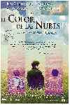 El color de las nubes
