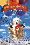 Napoleón, el perrito aventurero