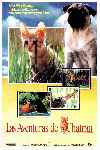 Las Aventuras De Chatran