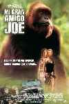 Mi gran amigo Joe