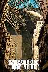 Synecdoche, New York