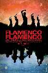 Flamenco, Flamenco