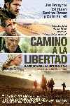 mini cartel Camino A La Libertad