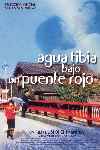 Agua tibia bajo un puente rojo