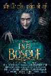 Into the Woods