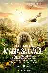Colombia magia salvaje