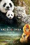 Nacidos en china
