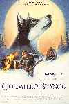Colmillo blanco