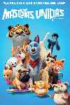 Mascotas unidas