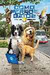 Como perros y gatos: La patrulla unida
