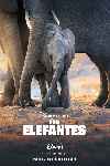 Los elefantes