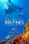Delfines: La vida en el arrecife