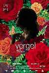 Vergel