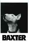 Baxter