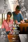 A Spark Story