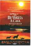 De vuelta a casa - Un viaje increible