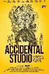 An Accidental Studio
