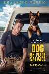 Dog: Un viaje salvaje