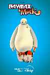 Baymax & Mochi (serie de Tv)
