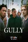 Gully