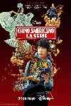 Chino americano (Serie de TV)
