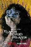 El amor después del amor (Serie de TV)