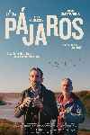 Pájaros