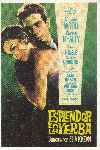 Esplendor en la Hierba / Esplendor en la Yerba