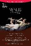 mini cartel Venus