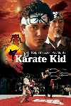 mini cartel Karate Kid