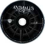 carátula bluray de Animales Fantasticos Y Donde Encontrarlos - Disco