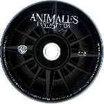 cartula bluray de Animales Fantasticos Y Donde Encontrarlos - Disco