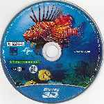 carátula bluray de Fascinacion - Arrecife De Coral 3d - Cazadores Y Cazados - Disco